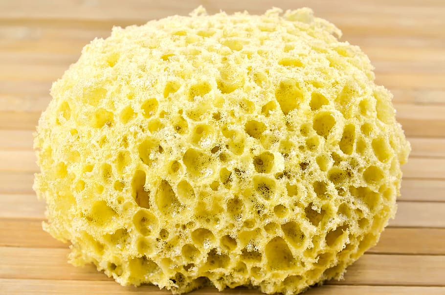 15 BEAUTY TIPS sponge-for-washing-sponge-cleaning-washing
