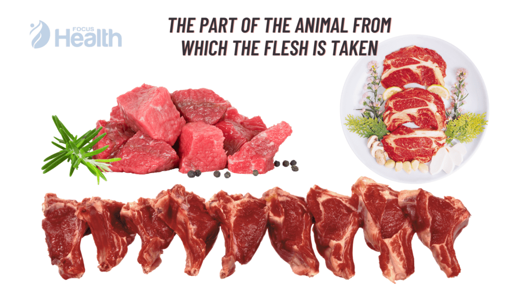 The part of the animal from which the flesh is taken
